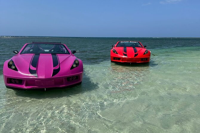 Jet Cars in Montego Bay and Private Transportation - The Ride: Speed, Turns, and Coastline Views