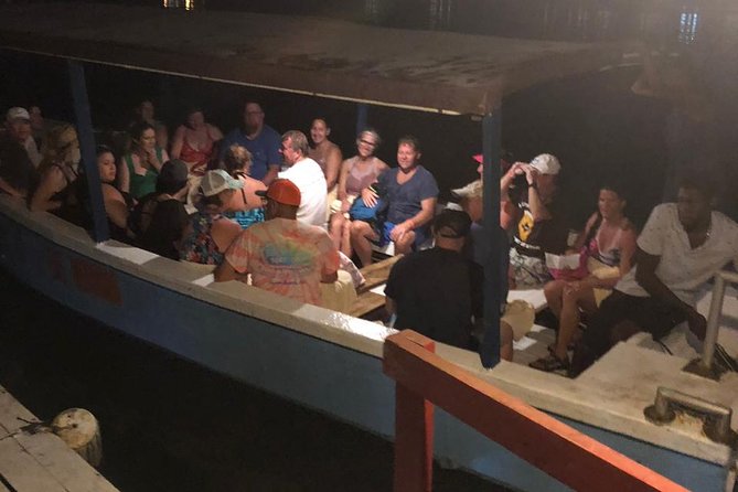 Luminous Lagoon After Dark Tour - What your $86.67 really buys: included access and the extras to expect