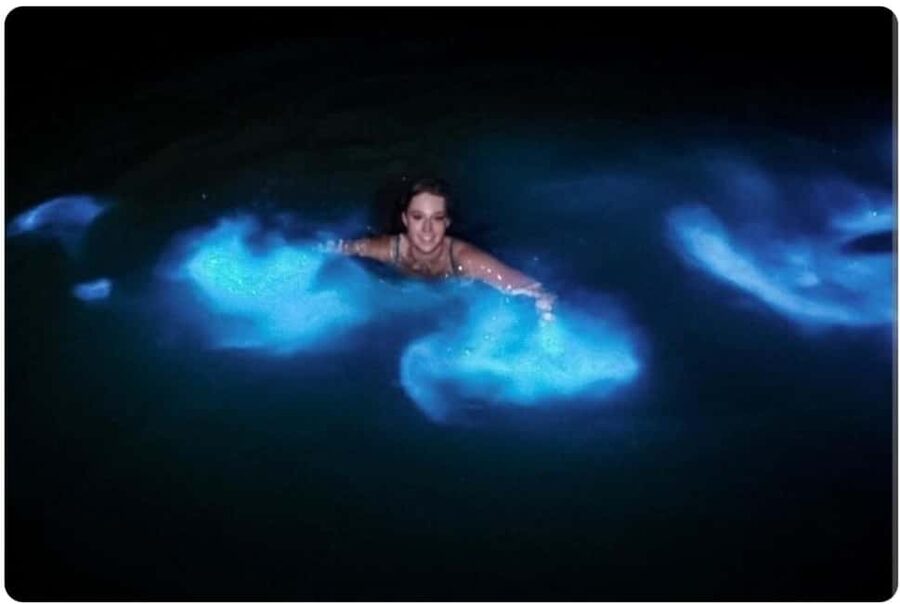 Luminous Lagoon Experience: Ocho Rios Runaway Bay & Falmouth - Timing: the moonless-night rule (and why you should care)