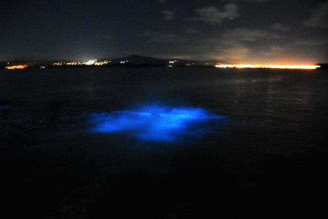 Luminous Lagoon "Glistening Waters" Tour from Grand Palladium Resorts - Crowds, Timing, and Weather: When the Tour Hits, and When It Misses