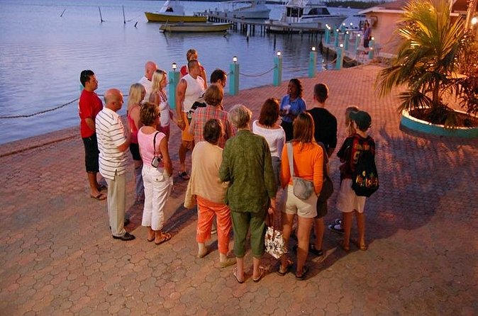 Luminous Lagoon Night Cruise From Montego Bay - Why This Private Group Setup Feels Worth It