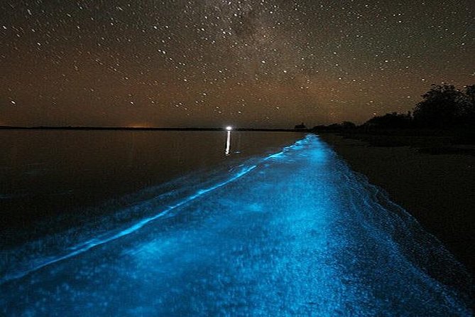 Luminous Lagoon Night-Time Tour from Montego Bay - Price and value: what $105 per person buys you