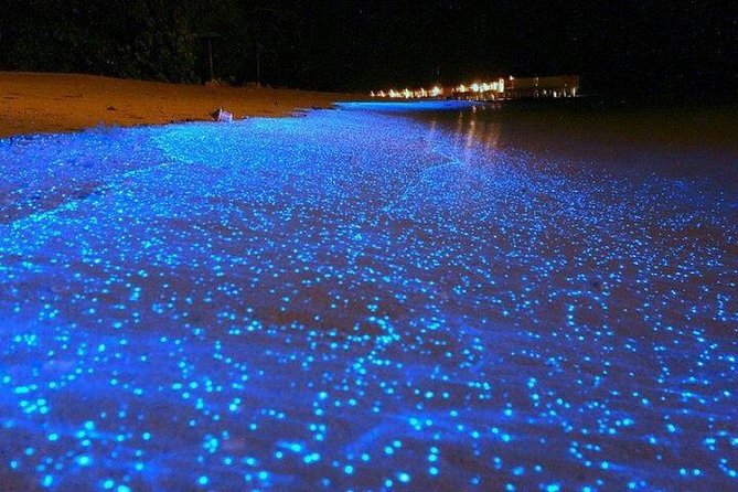 Luminous Lagoon Night-Time Tour from Montego Bay - The guided boat ride and lagoon swim: how the glow works