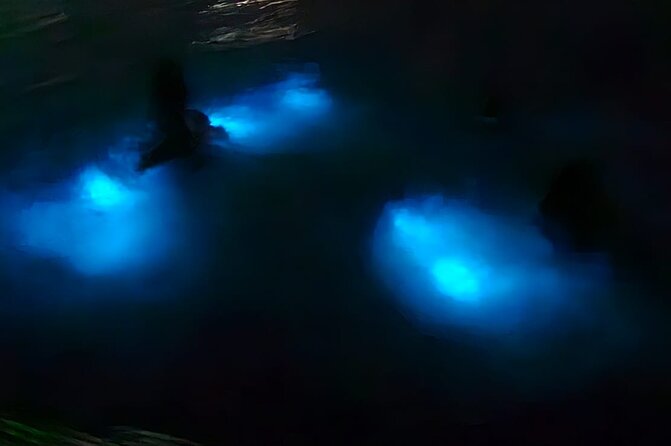 Luminous Lagoon Night Tour and Swim/Fire Dance from Montego Bay - Key things to know before you go