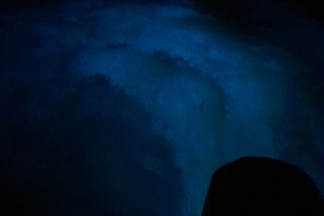 Luminous Lagoon Night Tour and Swim/Fire Dance from Montego Bay - Guides and Crew: When the People Run the Show