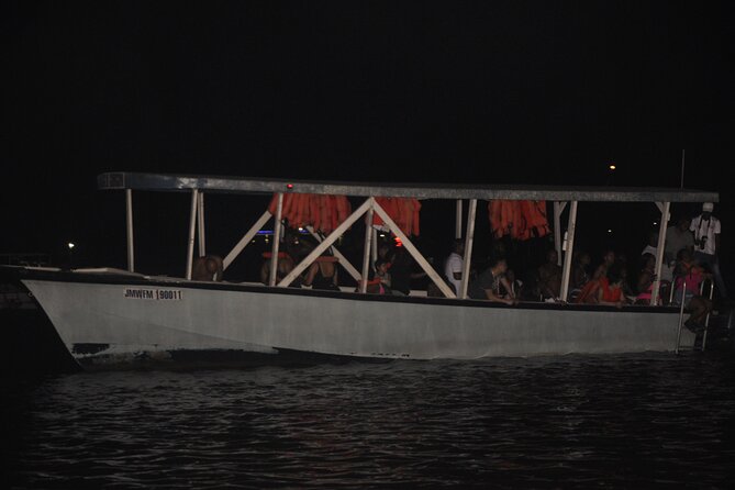 Luminous Lagoon Night Tour from Montego Bay - From Montego Bay to Falmouth, the Drive Sets the Mood