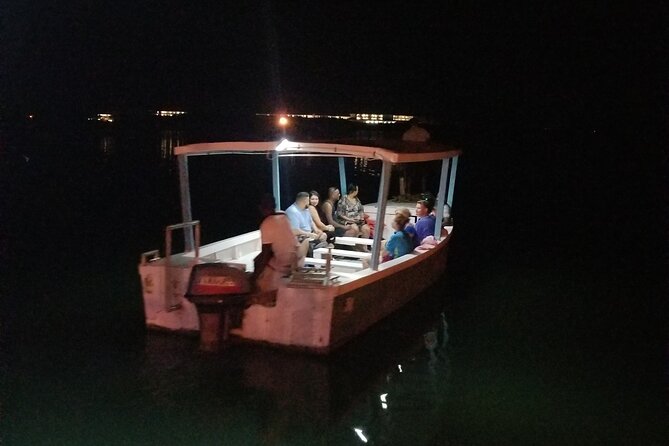 Luminous Lagoon Night Tour from Montego Bay - What the $54 Price Includes, and What Can Cost Extra