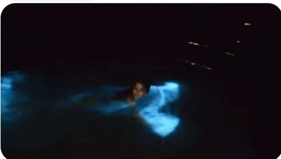 Luminous lagoon : Night Tour from Ocho Rios and Runaway Bay - Luminous Lagoon Night Magic in Falmouth