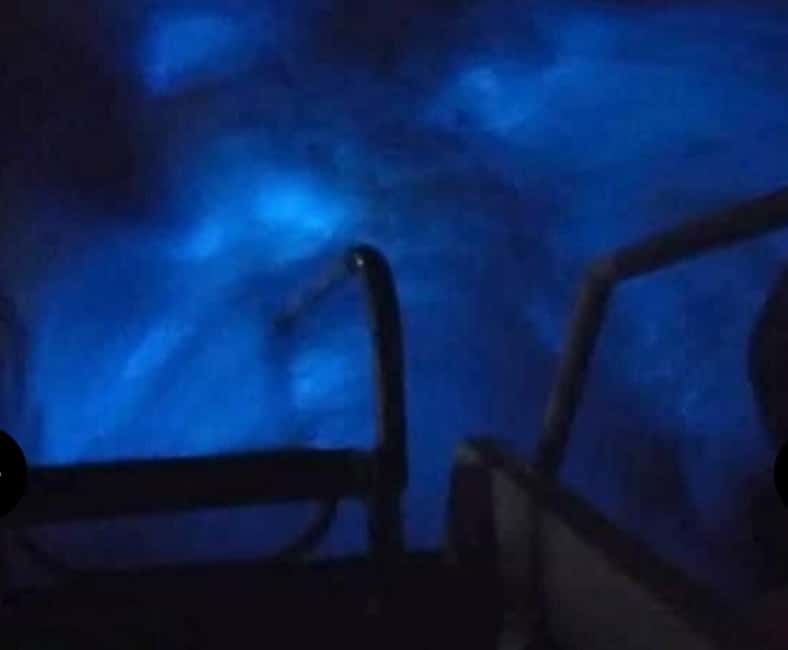 Luminous lagoon : Night Tour from Ocho Rios and Runaway Bay - The Boat Ride and Lagoon Experience at Mystic Lagoon Tours