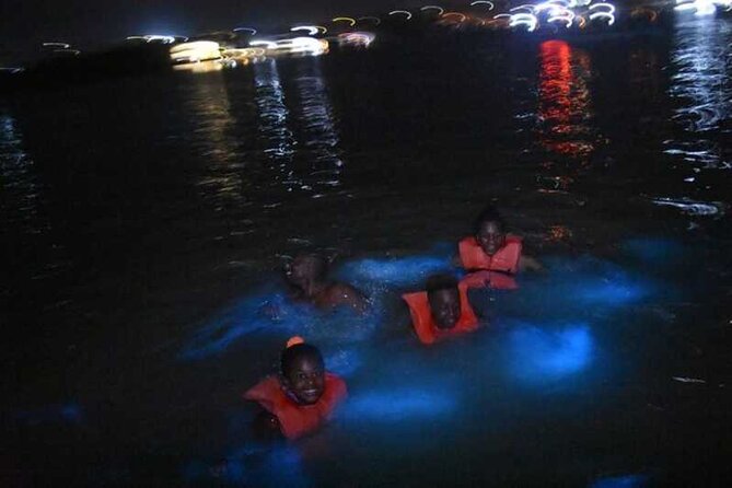 Luminous lagoon Night Tour Montego Bay - Why Luminous Lagoon in Falmouth turns the night into art