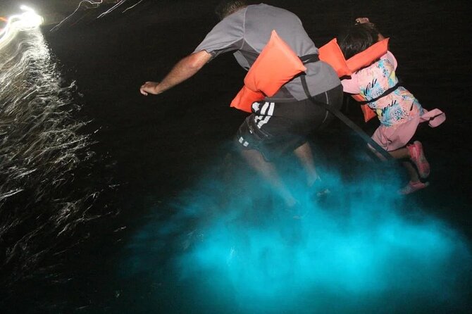 Luminous lagoon Night Tour Montego Bay - Price and value: what $75 buys you (and what to watch)