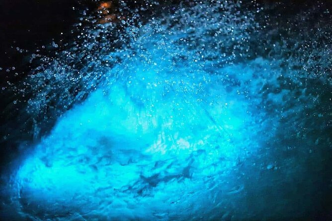 Luminous lagoon Night Tour Montego Bay - Group size, pace, and how the experience feels in real life