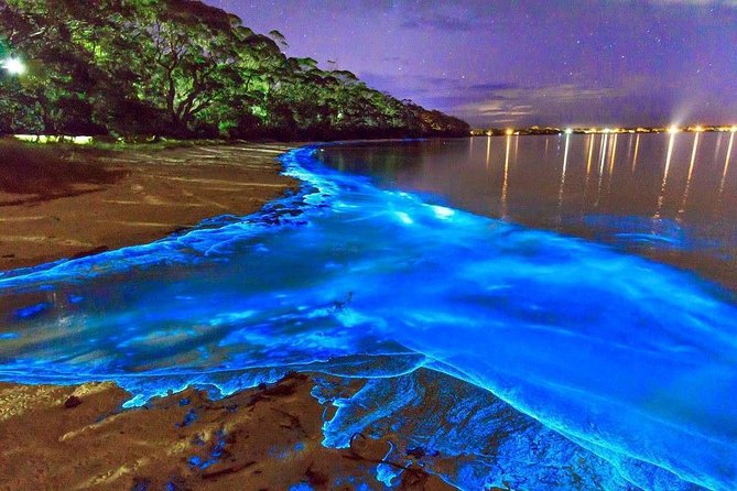 Luminous Lagoon Small Group Tour from Montego Bay - Key Things to Know Before You Go