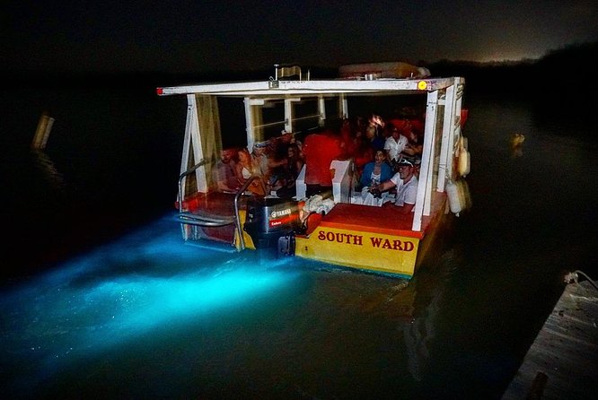 Luminous Lagoon Small Group Tour from Montego Bay - Fruit Punch or Rum Punch: A Small Inclusion That Changes the Mood