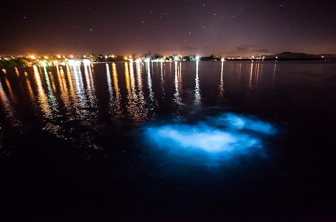 Luminous Lagoon Tour from Montego Bay - Luminous Lagoon, explained in the simplest terms