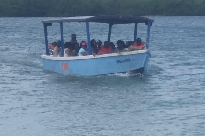 Luminous Lagoon Tour from Montego Bay & Rosehall Hotels - Timing tips for a smooth 3 to 4 hour night