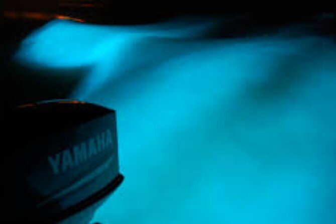 Magical Luminous Lagoon Private Tour - The Guide Experience: Science and Folklore in Plain Language