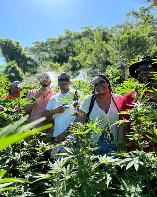 Marijuana Farm, Bamboo Rafting and Doctors Cave Beach Tour - What to bring and how to pace yourself in 6 hours