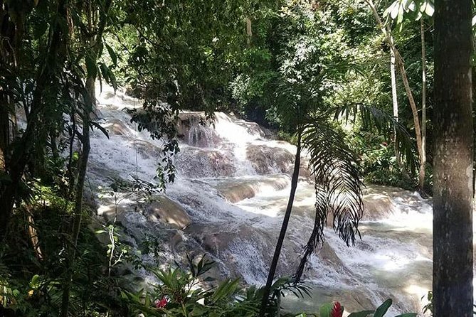 Martha Brae and Dunn’s River Falls Day Tour - Practical tips to get more from the day