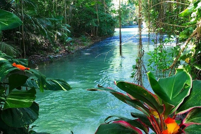 Martha Brae Rafting Adventure - Value Check: Is $160 Per Person Worth It?