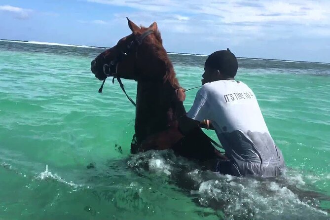 Martha Brae Rafting, Horseback Riding and Luminous Lagoon - Triple Treat - Key Takeaways Before You Go