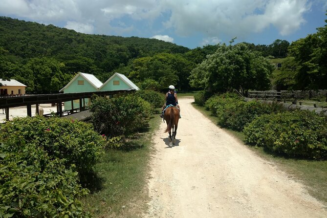 Martha Brae Rafting, Horseback Riding and Luminous Lagoon - Triple Treat - Montego Bay transfers and private guiding that keep things smooth