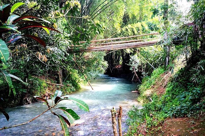 Mayfield Falls, Blue Hole & Rick's Café Tours/Weed Farm option - The 9:40am pickup, mobile ticket, and small-group cap