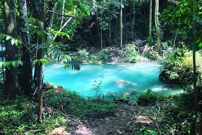 Mayfield Falls, Blue Hole & Rick's Café Tours/Weed Farm option - Stop 2 realities: safety mindset and your comfort zone
