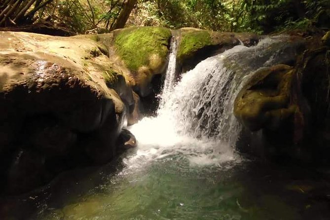 Mayfield Falls nature walk - Key highlights you will actually feel