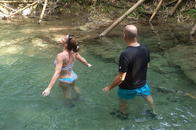 Mayfield Falls nature walk - Swimming, water paths, and that mineral-springs vibe
