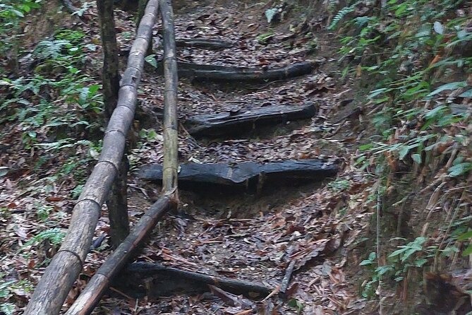 Mayfield Falls nature walk - The guide duo: Michael and Comfy, plus other great pairings