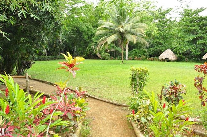 Mayfield Falls Private Tour - Your private driver/guide and the comfort factor from hotel pickup