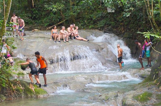 Mayfield Falls Private Tour - What’s included versus what costs extra, so you do not get surprised