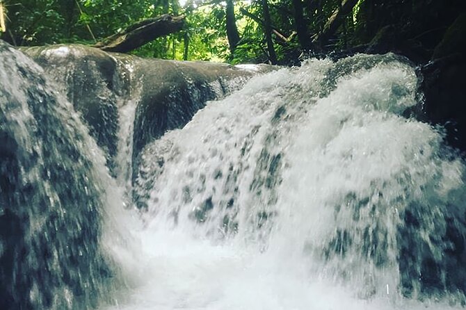 Mayfield Falls Tour with Lunch, drink, Entry & Transp(Original) - Lunch, Drinks, and What You Might Still Pay For