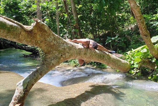 Mayfield Falls Tour with Lunch, drink, Entry & Transp(Original) - Transport That Lets You Focus on the Water