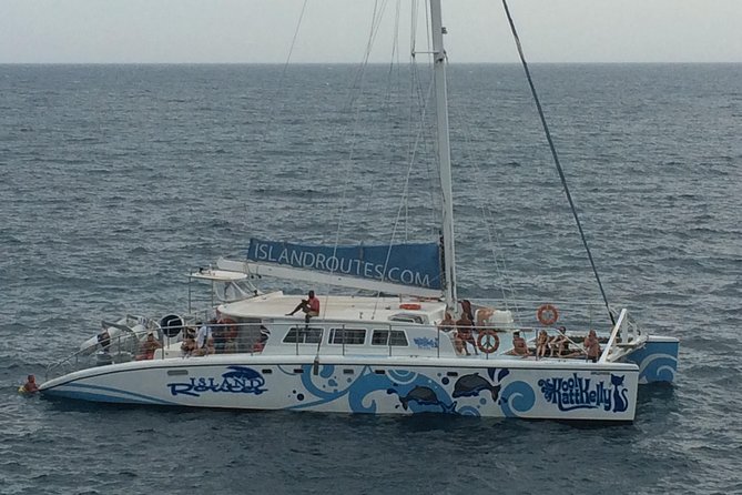 MBJ - Hotels in Ocho Rios - Mobile Ticket and Timing: What to Expect on the Day