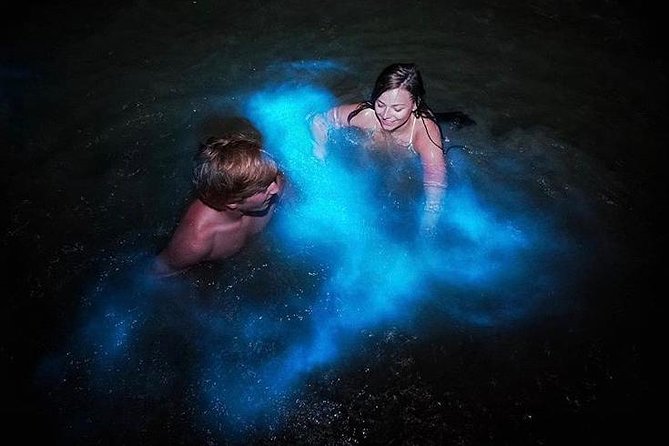 Mesmerizing Luminous Lagoon (Glistening Waters) Night Tour - Glistening Waters Restaurant and Marina: where the night starts