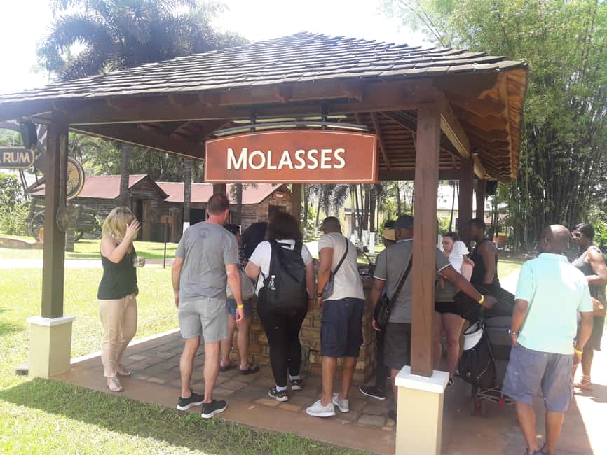Montego Bay: 8-Hour Appleton & Pelican Bar Return Transfer - Key things that make this day trip work