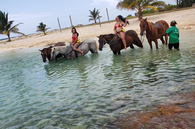 Montego Bay Airport Round Trip Transfer - Price and value: what $40 per person really buys