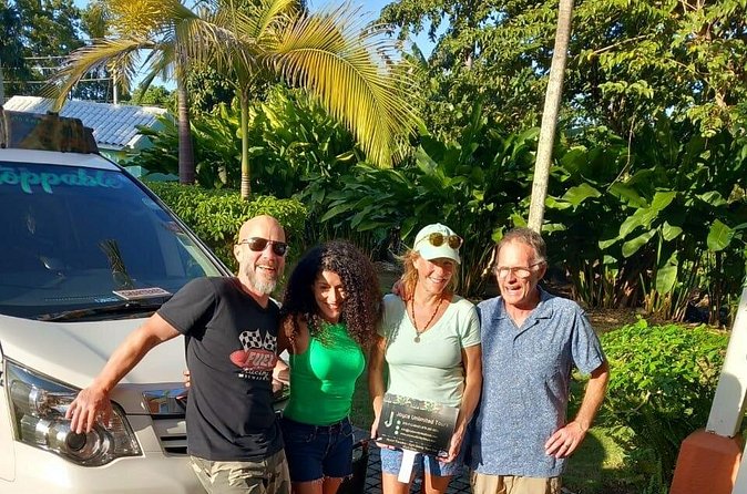 Montego Bay Airport Transfers Private Taxi to Hotels in Negril - Who this transfer suits best in Negril