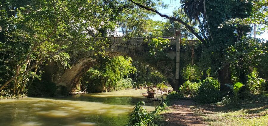Montego Bay: Bamboo Raft Cruise on the Great River - The onboard culture: floating jerk, snacks, souvenirs, and dancing