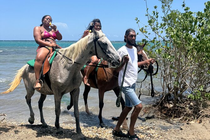 Montego Bay Beach Horseback Riding Tour - Price and Value: Why $80 Can Make Sense