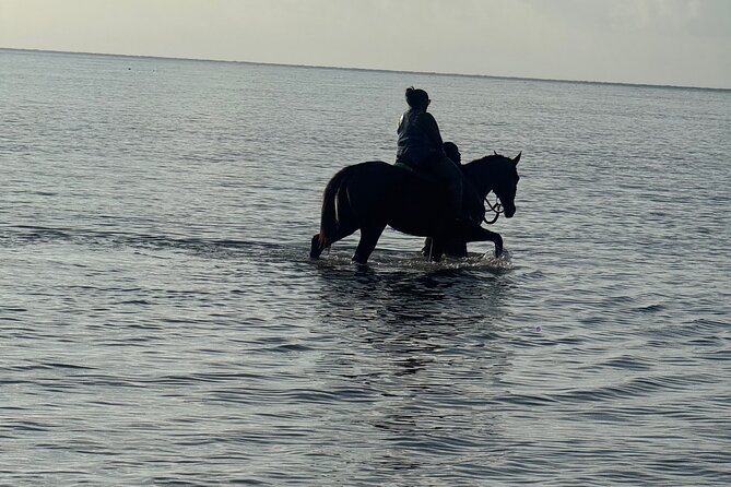 Montego Bay Beach Horseback Riding Tour - Timing That Actually Works With a Jamaica Day