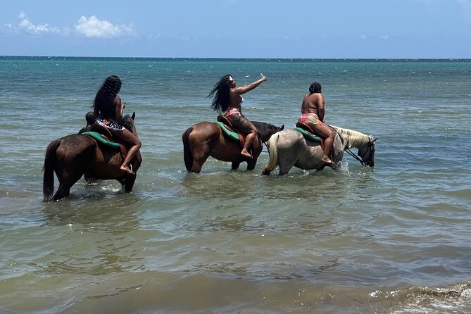Montego Bay Beach Horseback Riding Tour - Who This Tour Is Best For (and Who Should Rethink)