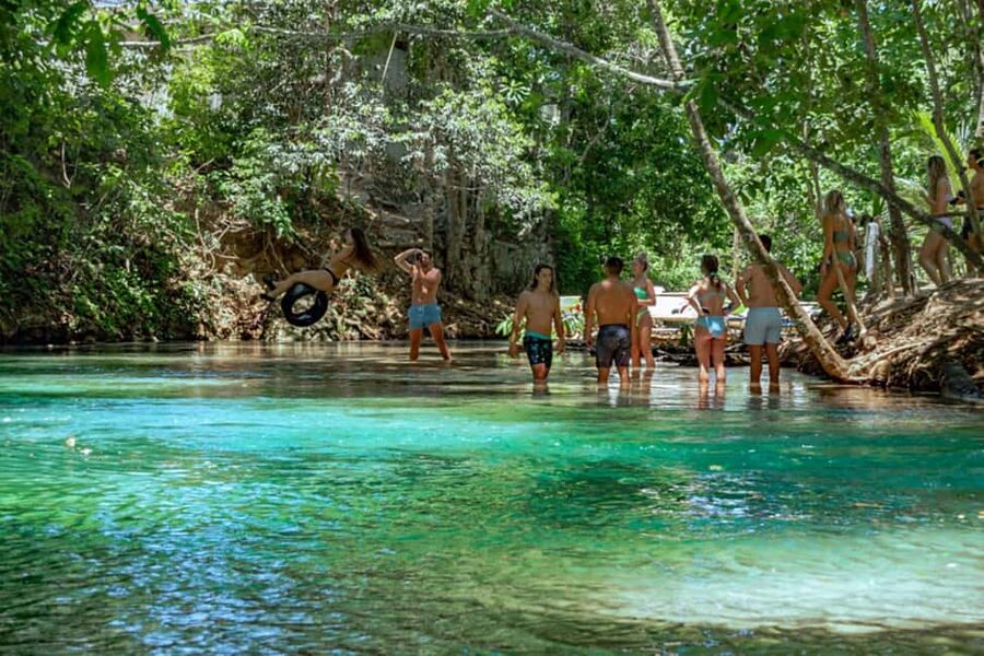 Montego Bay: Blue Hole, Dunn’s River, and Reggae Hill Tour - Price and value: Is $159 worth it?