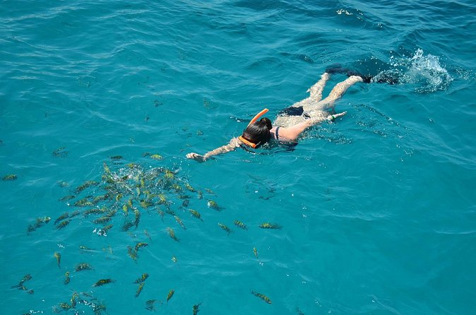 Montego Bay Catamaran Cruise and Snorkeling Tour from Falmouth - Price and value at about $250 per person