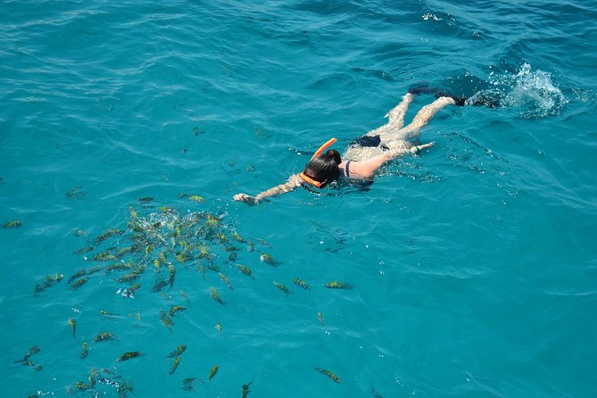 Montego Bay Catamaran Cruise and Snorkeling Tour from Falmouth - What to wear, bring, and do so you do not suffer
