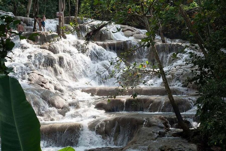 Montego Bay: Chuck Norris Falls & Dunn's River Falls Tour - Price and Value Check: What $175 Covers
