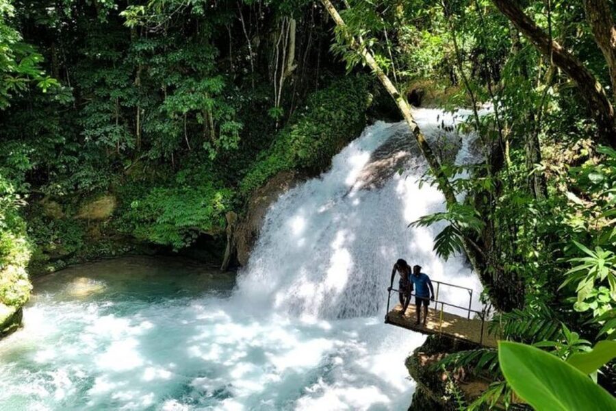 Montego Bay: Chuck Norris Falls & Dunn's River Falls Tour - Safety, Help on the Climb, and Choosing Your Comfort Level