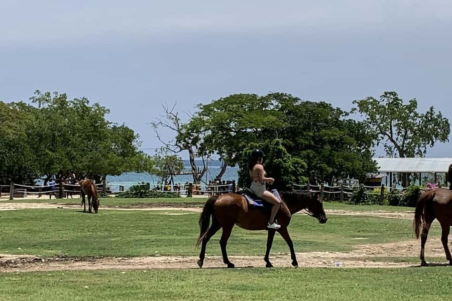 Montego Bay: Day Trip with Zipline, ATV, and Horseback Ride - A 5-hour private combo in Jamaica’s countryside and sea